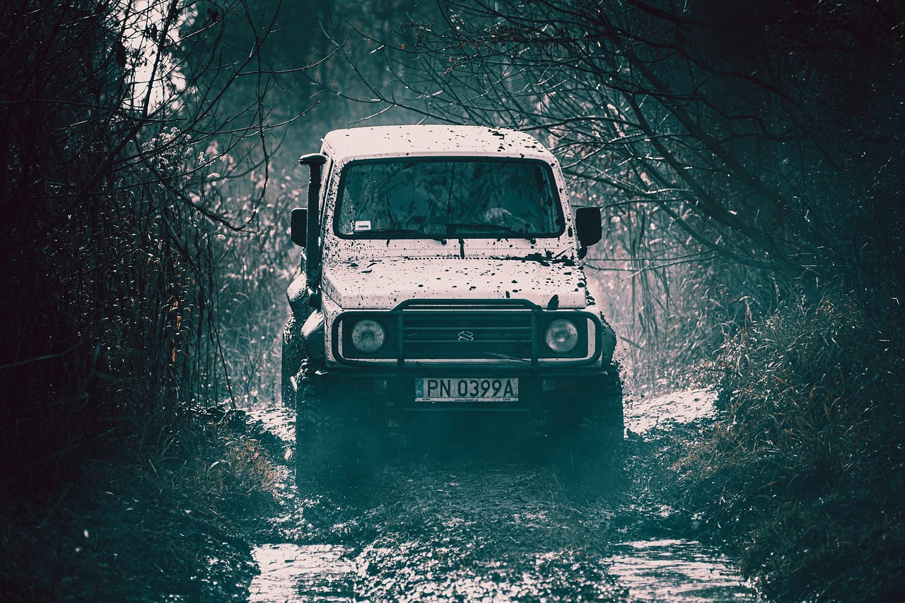 Внедорожник на бездорожье
