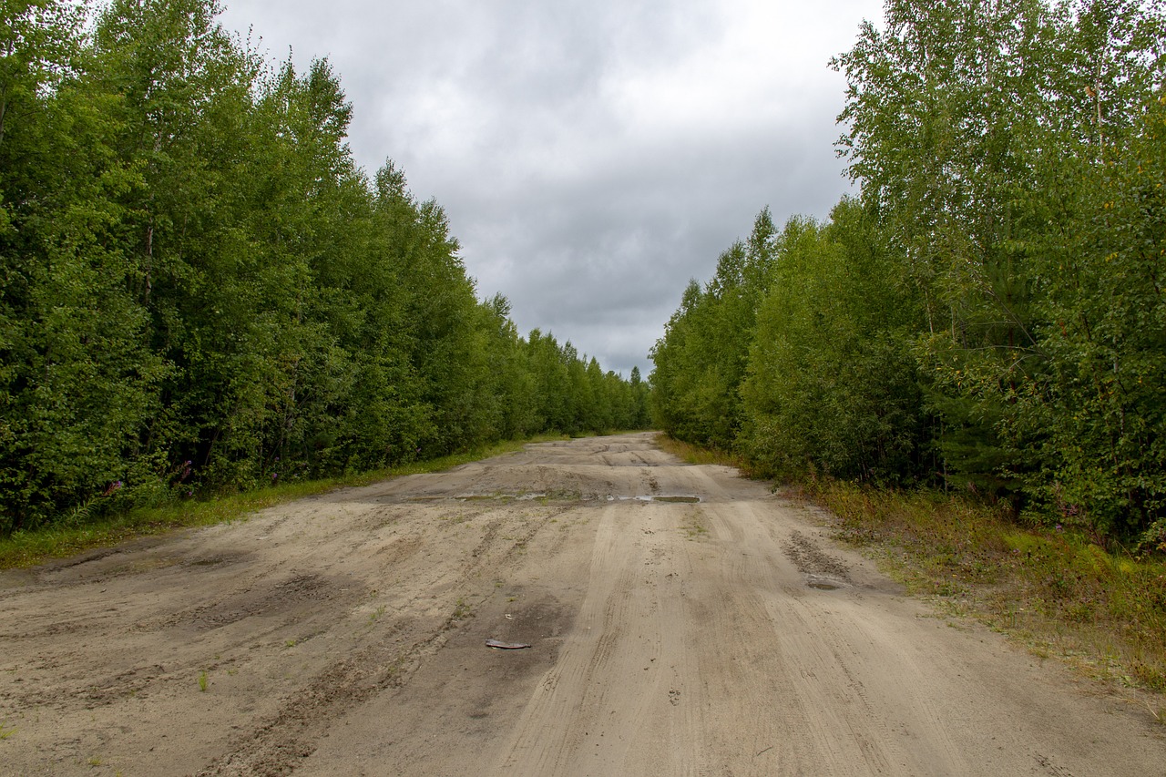 Внедорожник на бездорожье